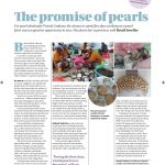 retail jeweller, pearl farm Indonesia