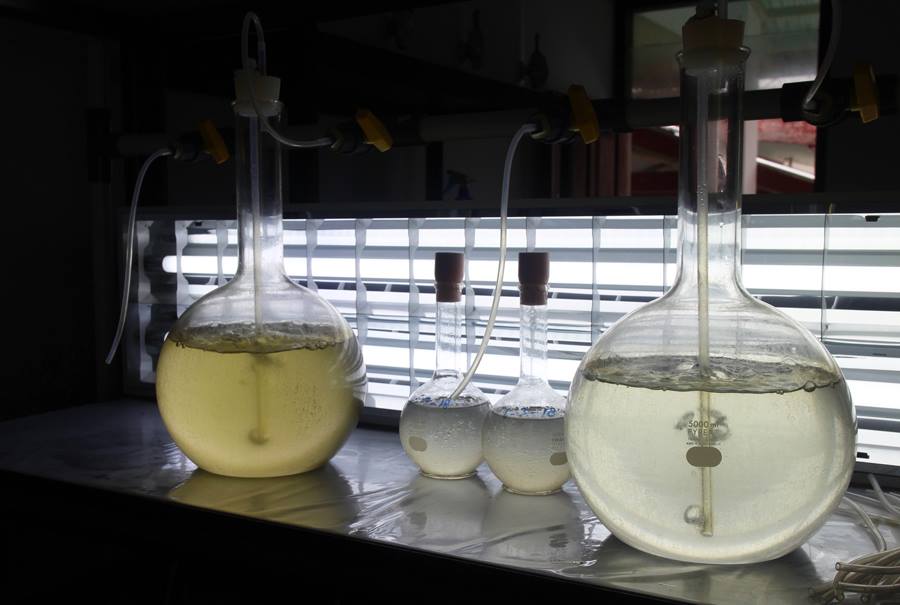 Harvesting South Sea Pearls: Working on a pearl farm in ...