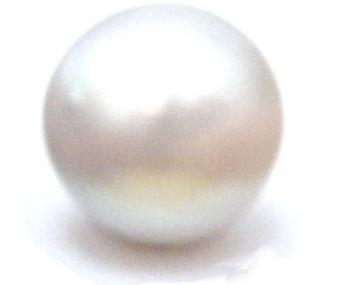 White South Sea Pearls